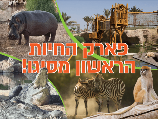 פרסום של פארק החיות